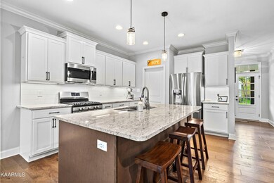 12730 Myrtle Ridge Ln, Knoxville, TN 37932 - photo 5