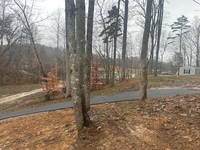 113   Lot 55 Yellowstone Dr unit lot 55, East Bernstadt, KY 40729 - photo 6