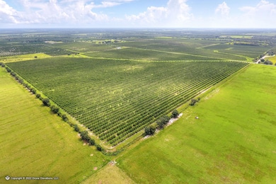 5015 Fish Branch Rd, Zolfo Springs, FL 33890 - photo 6