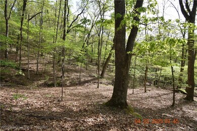 20819 E Steely Hollow Rd, Steely Hollow, OK 74464 - photo 7