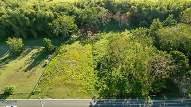 KM HM 0.8 Bo Carrizal, Aguada, PR 00602 - photo 4