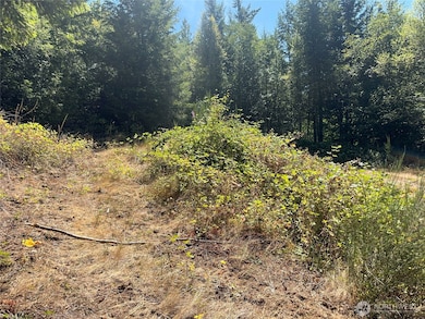 Lower building site with room for RV