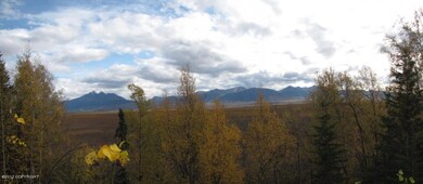 Sweeping views of Palmer Hay Flats & Mtn