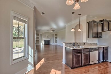 Kitchen into Great Room