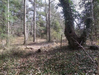 L 18 Mountain Meadow Ln, Purlear, NC 28665 - photo 4