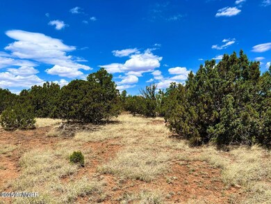 85 Co Rd 8070 --, Concho, AZ 85924 - photo 3