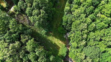 00 Hog Cove Rd, Sylva, NC 28779 - photo 3