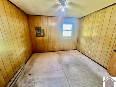 705 Chadd St, Marion, KY 42064 - photo 7