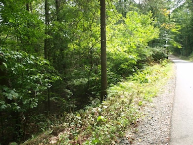 000 Partridge Lake Rd, Littleton, NH 03561 - photo 2