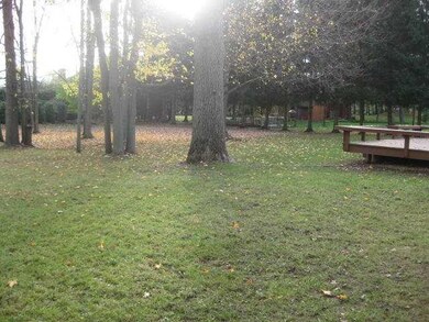 Yard/Garden