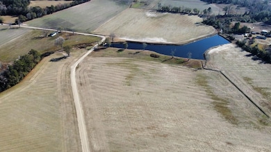 46.89 Ac Tbd Beth Ln, Nichols, SC 29581 - photo 2