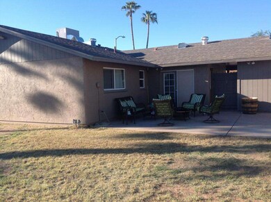 Large Back Yard