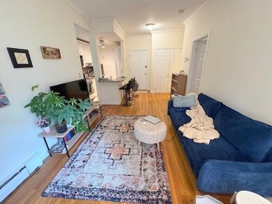 15-17 University Rd unit 31, Brookline, MA 02445 - photo 3