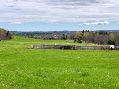 Amazing Land