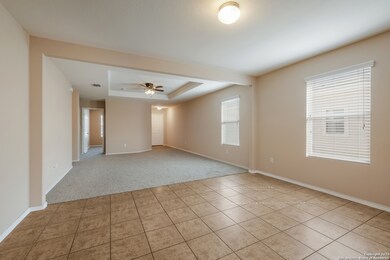3838 Bent Grass, San Antonio, TX 78261 - photo 7
