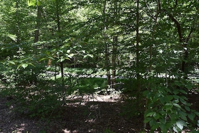 0 Sam Baughman Rd unit LotWP001 24575594, Stanford, KY 40484 - photo 3