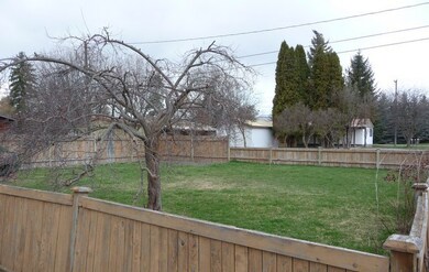 Fenced Back Yard