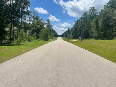 717 Lonestar Rd, Huntsville, TX 77340 - photo 5