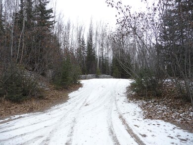 14248 W Holly Loop, Big Lake, AK 99652 - photo 7