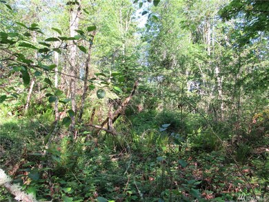 0 238th Ave E, Orting, WA 98360 - photo 3