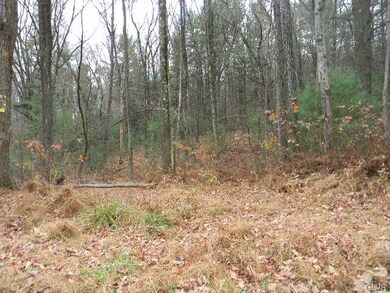 0 Lumber Ln unit 507004, New Ringgold, PA 17960 - photo 3