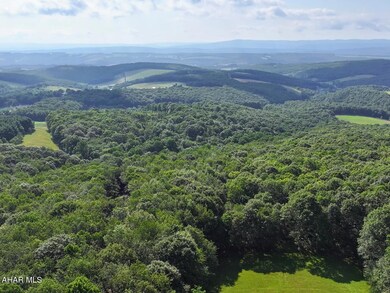 752 Mountain View Rd, Schellsburg, PA 15559 - photo 4