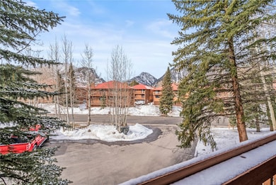 749 Lagoon Dr unit 1F, Frisco, CO 80443 - photo 4