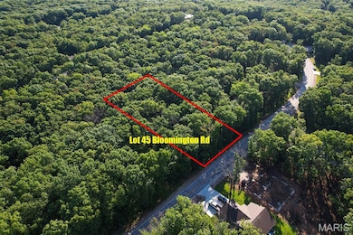 3 Lots Village of the Four Seasons, Lake Ozark, MO 65049 - photo 3