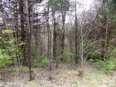 Wooded Acreage