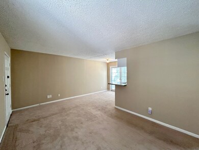 3902 Mandell St unit 8, Houston, TX 77006 - photo 6
