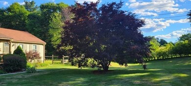 13 Yew St, Douglas, MA 01516 - photo 4