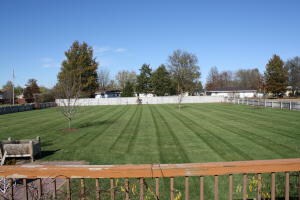 Back yard