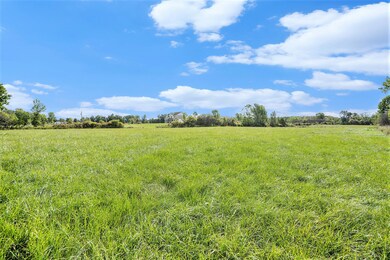 004_jbs07989jbs07989