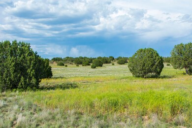 12X2 E Cougar Ridge Rd, Paulden, AZ 86334 - photo 6