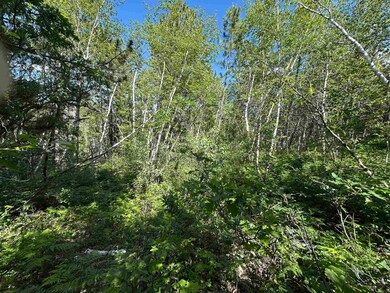 TBD Rocky Point Rd unit TBD Rocky Point Road, Lead, SD 57754 - photo 6