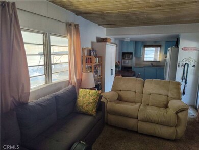 501 Parker Dam Rd, Parker Dam, CA 92267 - photo 5