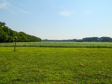 View from front door