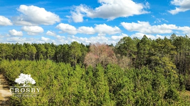 0 Cecil Nobles Hwy unit 22674528, Ludowici, GA 31316 - photo 5