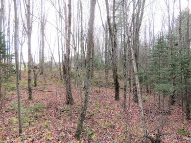 0 E Hill Rd unit 4889279, Troy, VT 05859 - photo 4