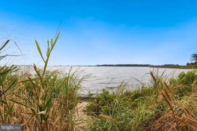 3206 Points Reach, Berlin, MD 21811 - photo 5