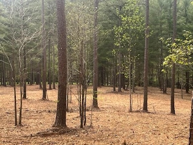 002 Swan Bridge Rd, Talking Rock, GA 30175 - photo 6