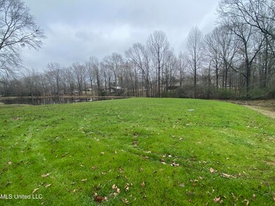 735 Highway 468, Brandon, MS 39042 - photo 5