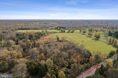 320 Carter Rd, Princeton, NJ - photo 3