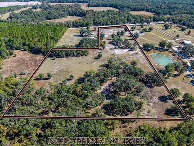 1325 NE 399th St, Cross City, FL 32628 - photo 3