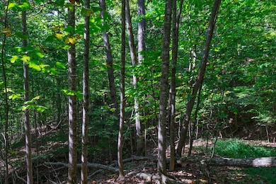 00 Winding Way Dr, Franklin, NC 28734 - photo 4