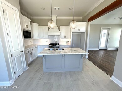 204 Keystone Dr, Church Point, LA 70525 - photo 5