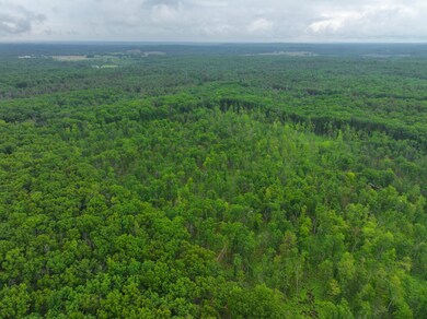 DJI_20250618155351_0638_D