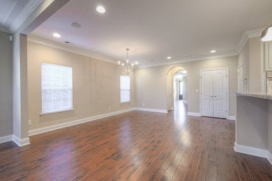 5003 Rizer Point Dr, Franklin, TN 37069 - photo 6