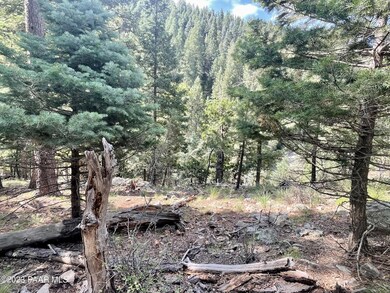 334x E Sheldon Rd, Prescott, AZ 86303 - photo 7