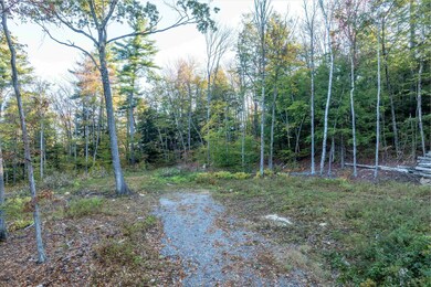 263 High Ridge Rd, Cavendish, VT 05142 - photo 4